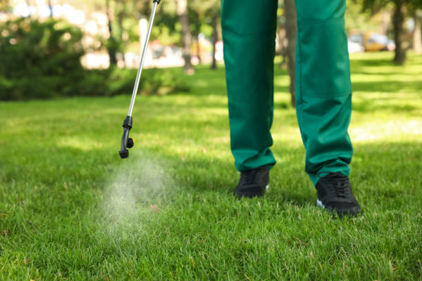 Best Affordable Pest Control Services  in Withamsville, OH