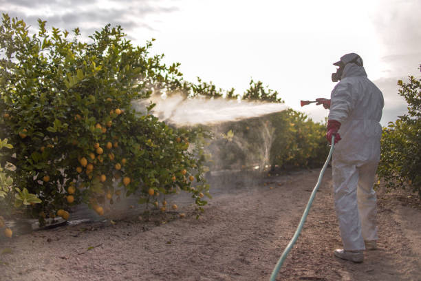 Best Insect Control  in Withamsville, OH